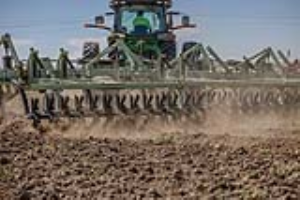 18 Fallow Master Orthman